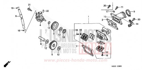 POMPE A HUILE/ANCHE SOUPAPE NSR125R1 de 2001